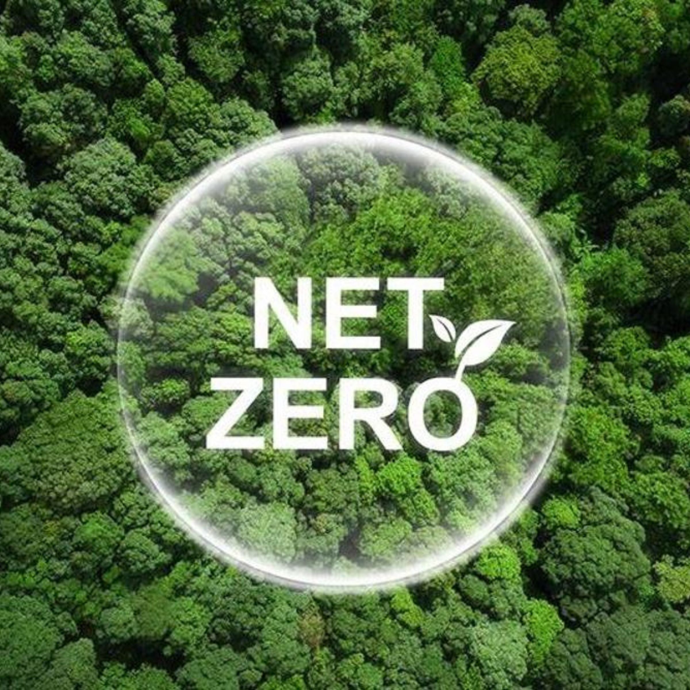 Net Zero Environment Friendly