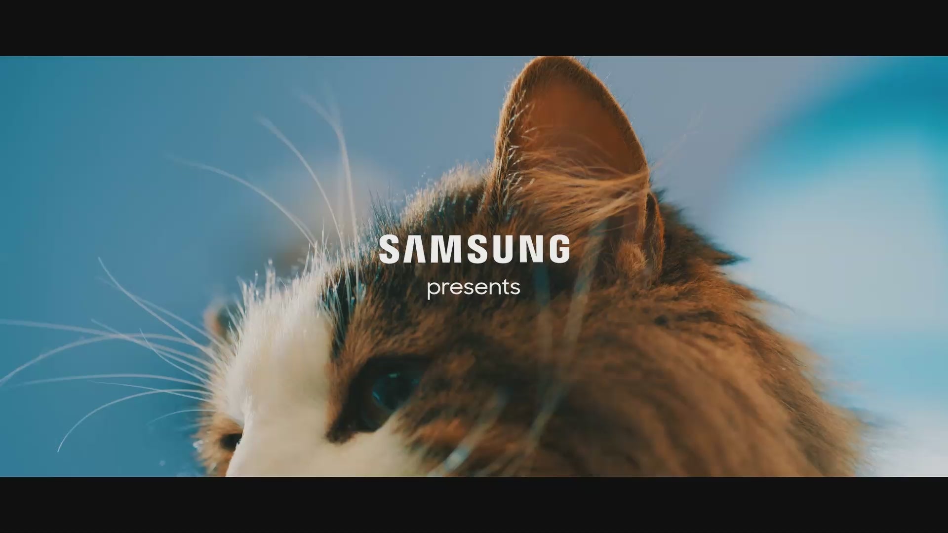 Load video: Samsung present WindFree Technolog&#39;s introduction